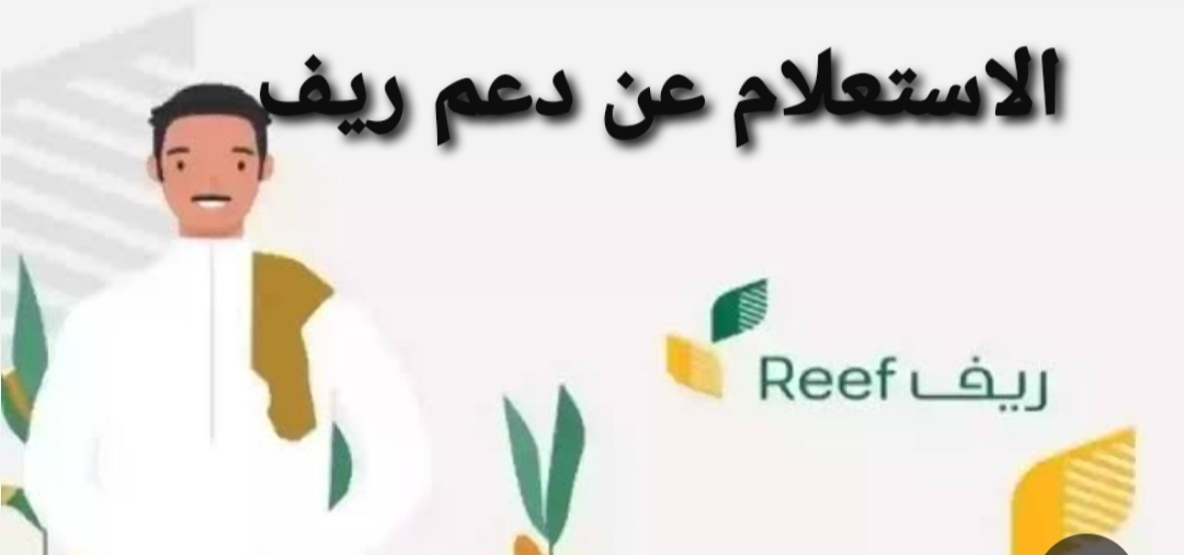 خطوات الاستعلام عن دعم ريف