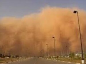 IMG ٢٠٢٥٠٤٣٠ ١٣٥٥٢٢