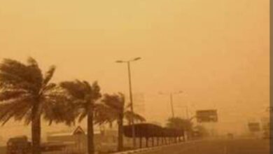 IMG ٢٠٢٥٠٤٣٠ ١٣٥٦٠٢