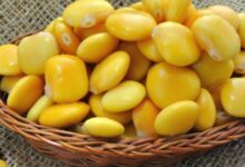طريقة عمل ماسك الترمس