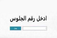 IMG ٢٠٢٥٠٦١١ ١٧٣٧٣٨