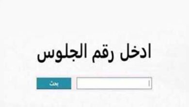 IMG ٢٠٢٥٠٦١١ ١٧٣٧٣٨