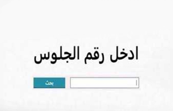 IMG ٢٠٢٥٠٦١١ ١٧٣٧٣٨