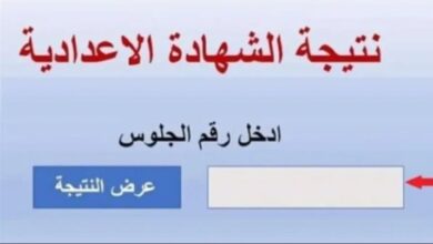 IMG ٢٠٢٥٠٦٢١ ١٣٠٣٣٠
